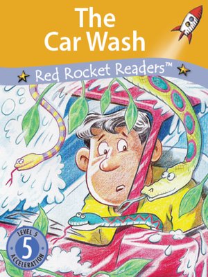 cover image of The Car Wash